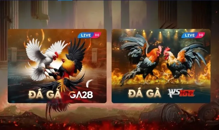 Giao diện sảnh Đá Gà SM66