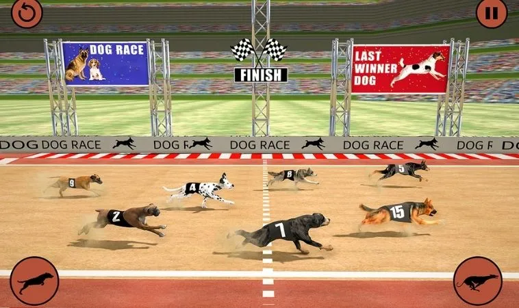 Đua Chó Tại SM66