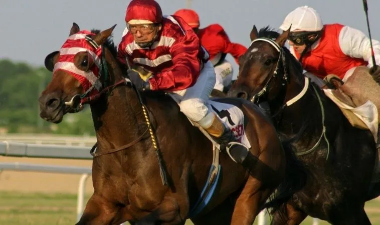 Trở Thành Chuyên Gia Khi Tìm Hiểu Cá Cược Đua Ngựa SM66 1 đua ngựa SM66